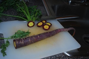 Purple Carrot1 Purple Carrot1