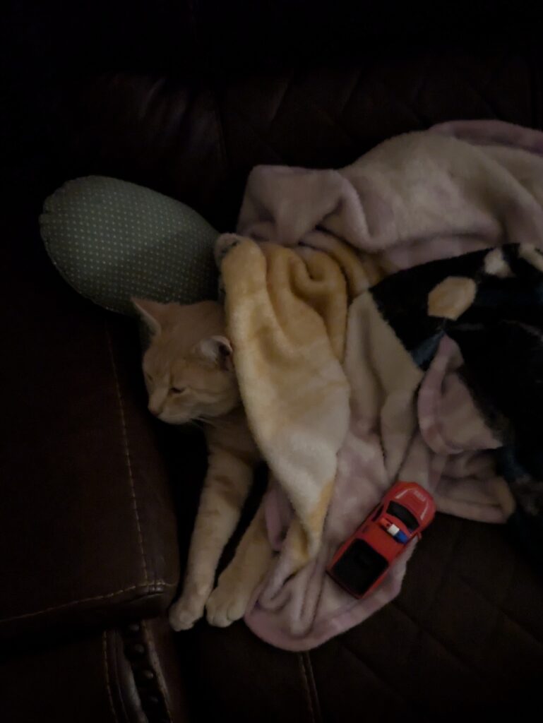 cat lying on an armchair under blankets and toys